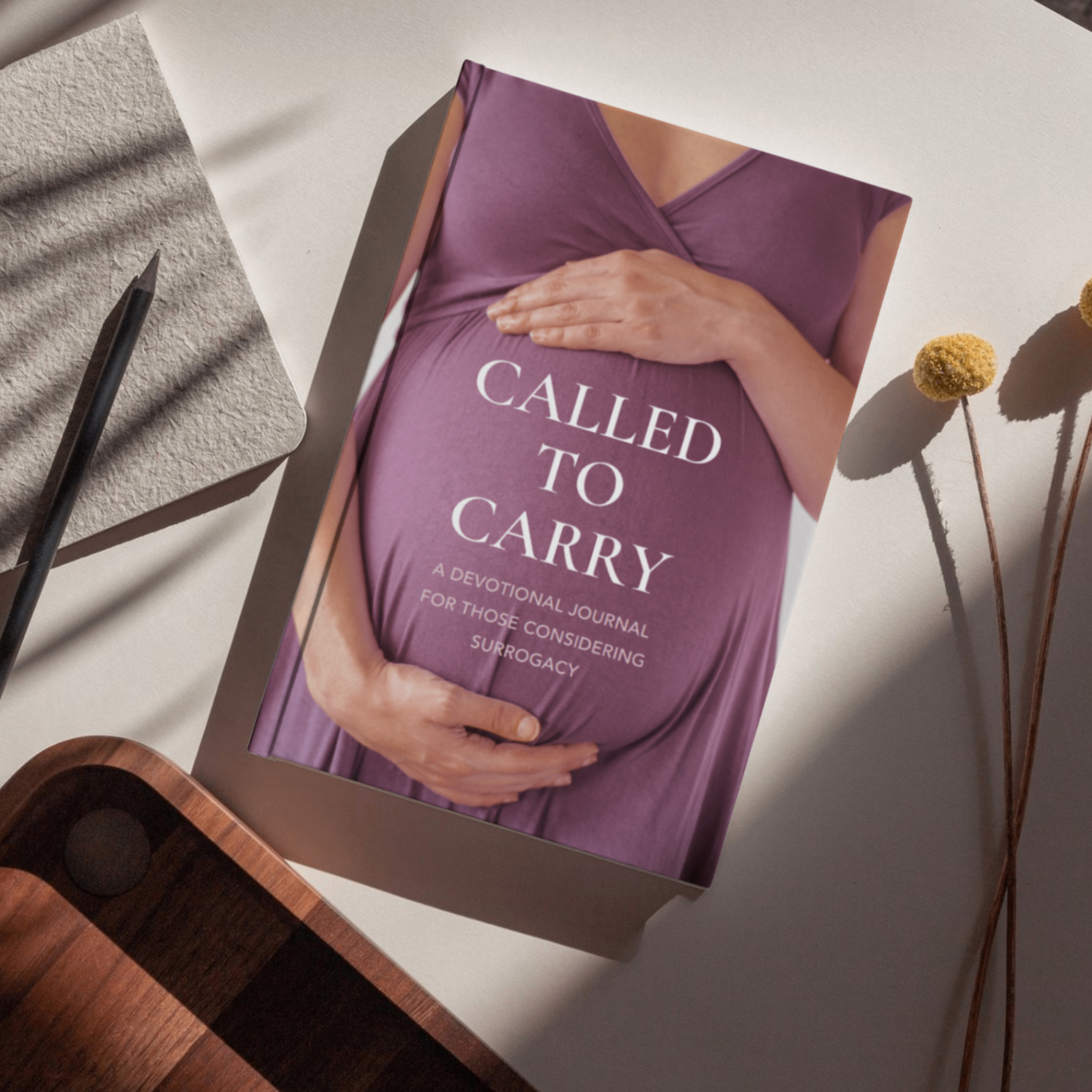 Called to Carry devotional book